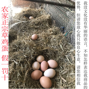 95元 皇冠信誉地道农家草鸡蛋走地蛋蔬菜青草杂粮水草喂食50枚 包邮