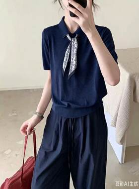 1215 夏季新款时尚休闲丝巾POLO领短袖洋气百搭针织上衣