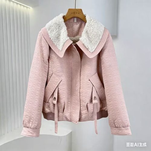 W738 秋款韩版时尚休闲百搭加绒加厚短款外套JR