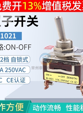 E-TEN拨杆摇头H 1021钮子开关2脚2档拨动12mm纽子摇臂电源单控CCC