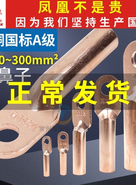 凤凰国标铜鼻子DT接线端子堵油式10接头压电线电工紫铜鼻头16平方