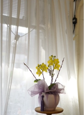 礼品包布 送礼包装 韩国进口单层砖石纱号H-P11068