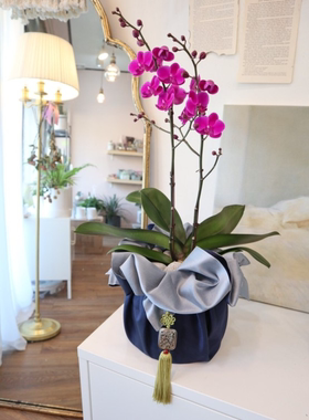 礼品包布 送礼包装 韩国进口双层石垃泊150cm号13+18H-P10909