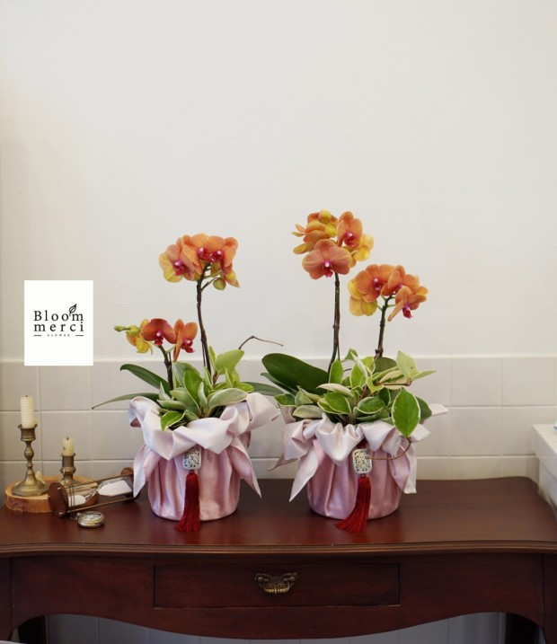 礼品包布 送礼包装 韩国进口双层石垃泊110cm33 10号h-p10859