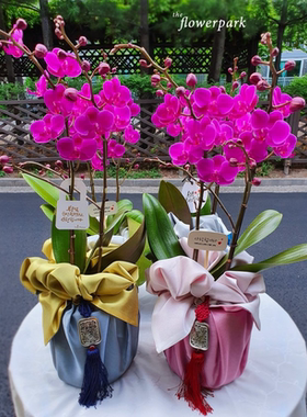 礼品包布 送礼包装 韩国进口双层石垃泊150cm号H-P10857