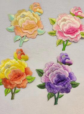绣花补片韩服立体胸花舞蹈练功服
