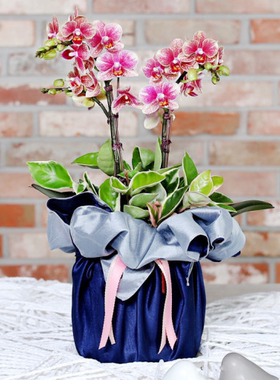 礼品包布 送礼包装 韩国进口双层石垃泊150cm14+18号H-P10877