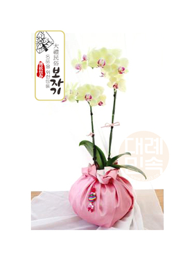 礼品包布 送礼包装 双层（150cm34+37）H-P03810