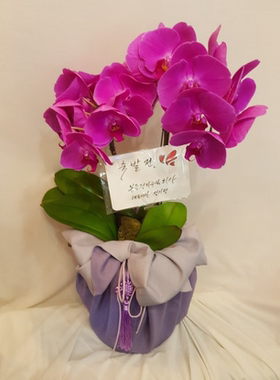 礼品包布 送礼包装 韩国进口双层石垃泊150cm18+26号H-P10878