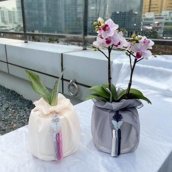 礼品包布送礼包装韩国