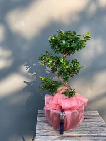 礼品包布送礼包装韩国