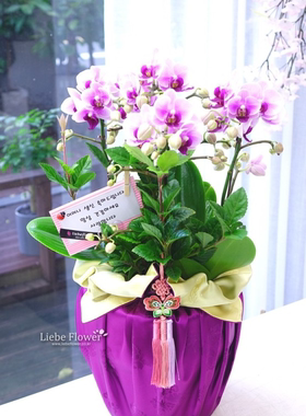 礼品包布 送礼包装 韩国进口双层洋缎子号H-P10872