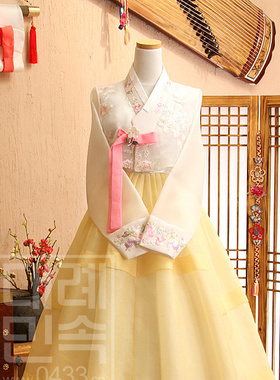 韩国原装进口新娘婚纱韩服礼服敬酒服生日宴H-G01095