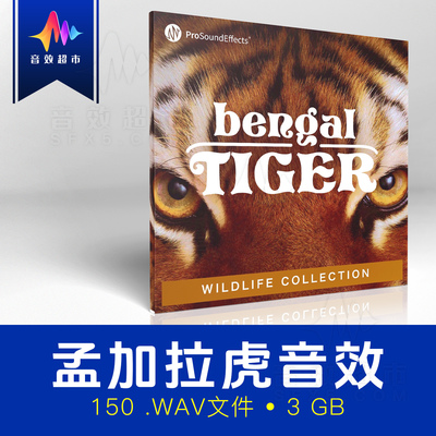 老虎咆哮/呻吟/咕噜声实录音效Pro Sound Effects Bengal Tiger