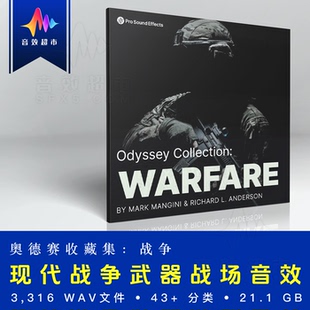 枪支操作子弹击中战场环境战争音效 Pro Sound Effects Warfare