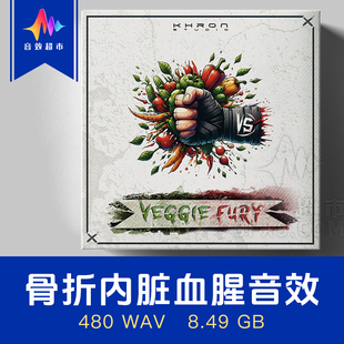 480条骨折内脏破碎血腥音效素材 Khron Studio Veggie fury