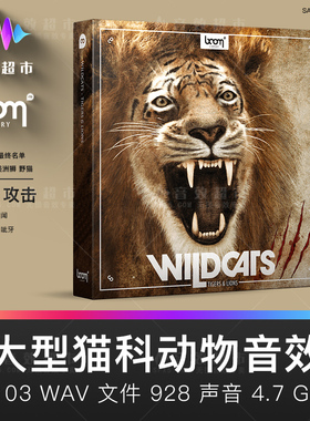 BOOM Library WILDCATS 大型猫科动物音效 狮子 老虎 美洲狮 野猫