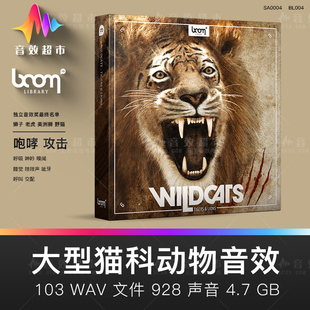 BOOM Library WILDCATS 大型猫科动物音效 狮子 老虎 美洲狮 野猫
