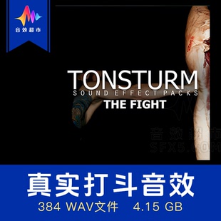 真实打斗音效 击打踢击身体撞击倒地拳击声音 Tonsturm The Fight
