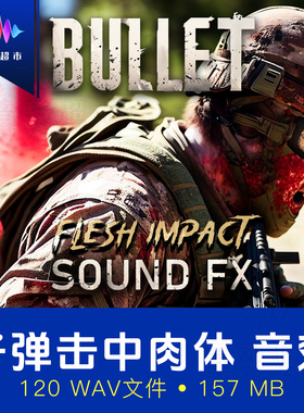 子弹击中穿过人体/肉体/内脏音效 Bullet Sound FX Flesh Bundle