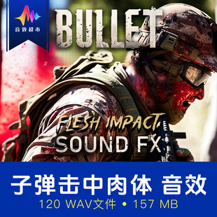 子弹击中穿过人体/肉体/内脏音效 Bullet Sound FX Flesh Bundle