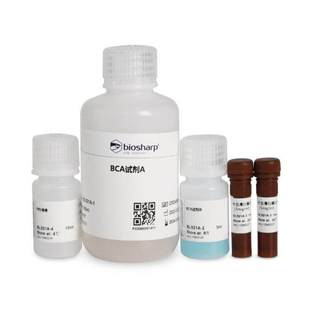 Biosharp BCA蛋白浓度测定试剂盒包含BCA试剂A+B/PBS溶液 BL521A