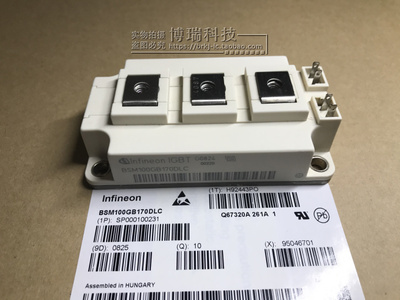 全新 BSM100GB170DLC BSM150GB120DN2 BSM200GB170DL