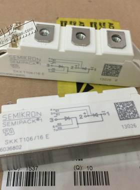 SKKT106/16E SKKH106/16E SKKT106B16E 进口 原装现货
