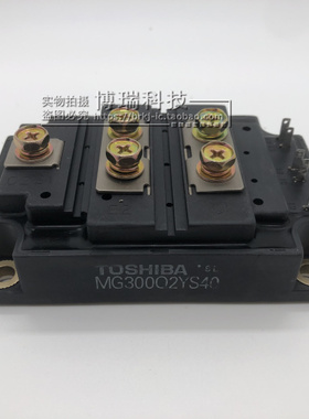 MG300Q2YS45 MG300Q2YS40 MG75N2YS40 MG400Q1US51