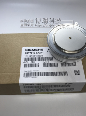 6SY7010-0AA41 功率模块 现货销售 欢迎订购！