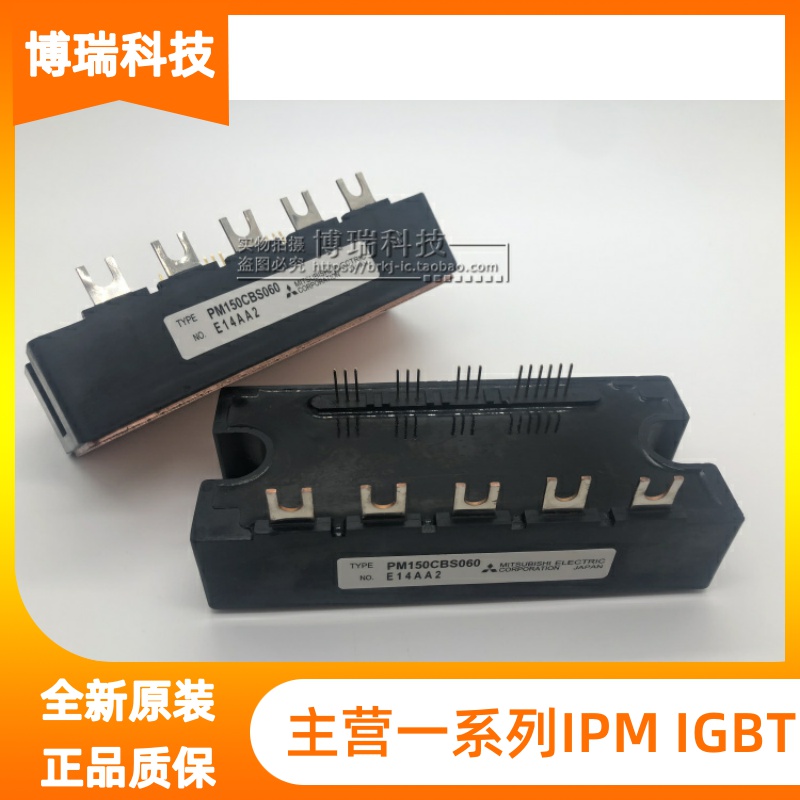PM150CBS060 PM200CBS060 PM300CBS060 PM200RSE060