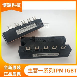 PM150CBS060 PM200CBS060 PM300CBS060 PM200RSE060