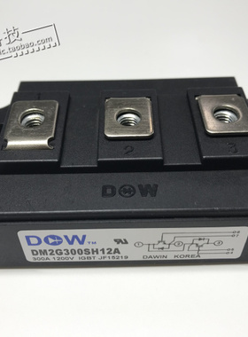 DM2G300SH12A 功率模块 IGBT模块 电源模块全新原装正品现货供应