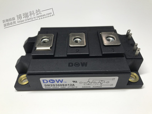 DM2G300SH12A 功率模块 IGBT模块 电源模块全新原装正品现货供应