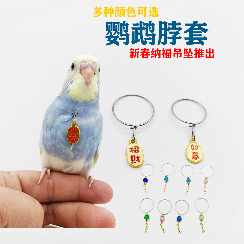 鹦鹉不锈钢钢脖链脖圈脖套