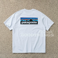 Пятно соды Patagonia P-6 Battaneian мужская и женская классическая футболка с короткими рукавами горного пика