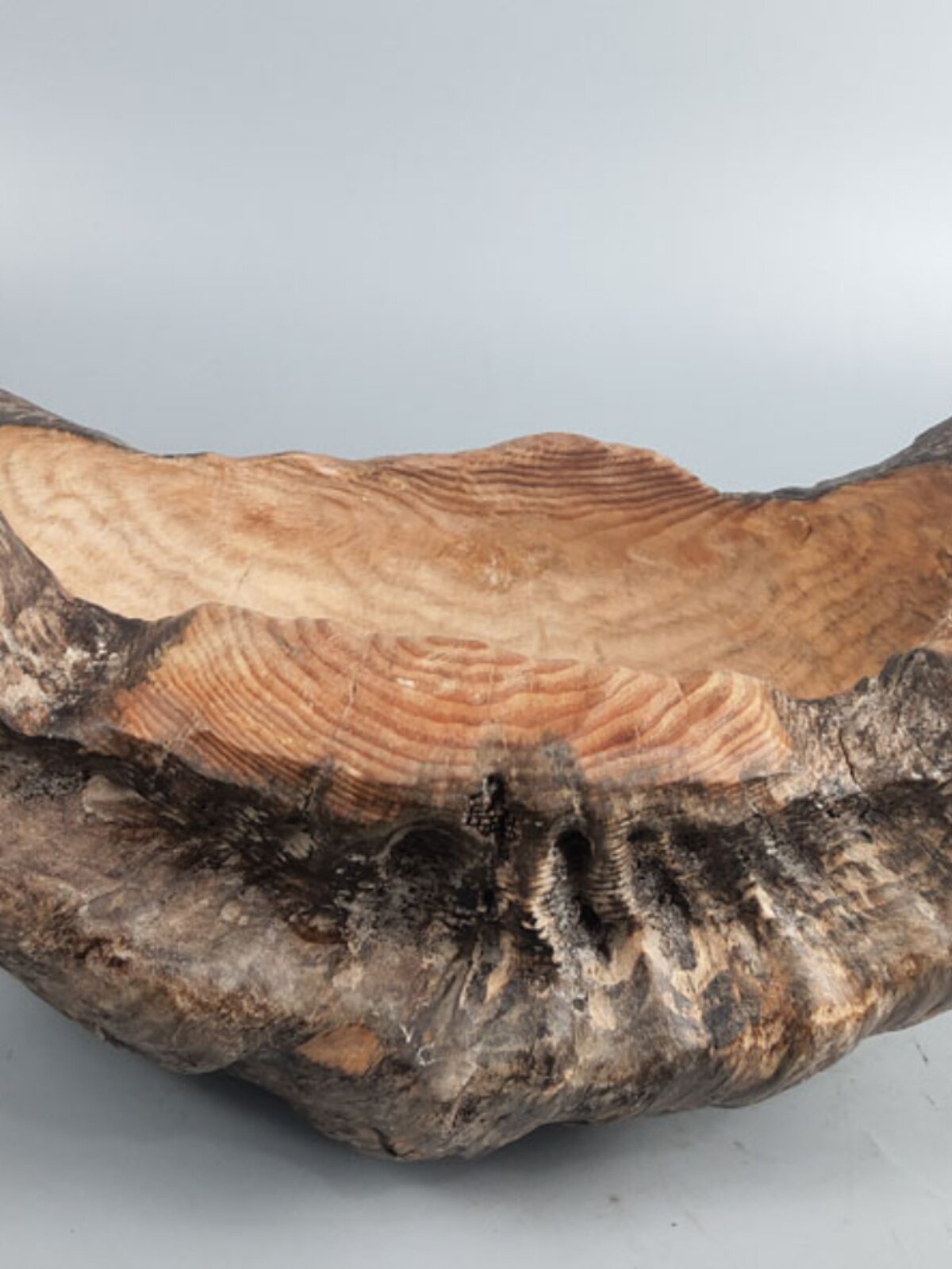 NATURAL PINE TUMOR SUCCULENT DEAD WOOD FLOWER POT KEY STORAGE CORNUCOPIA TREE ROOT CARVING CREATIVE HANDMADE PIGGY BANK