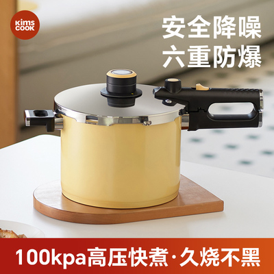 家用炖汤小型防爆燃气电磁高压锅