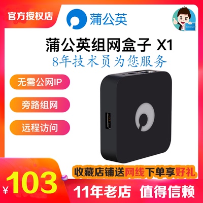 贝锐蒲公英组网盒子快速远程