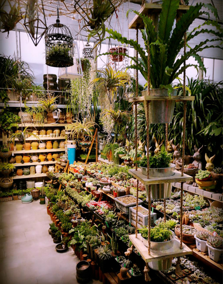 三木美陈多肉植物四连吊桶麻绳实木铁桶壁挂垂吊专用多肉绿植百搭