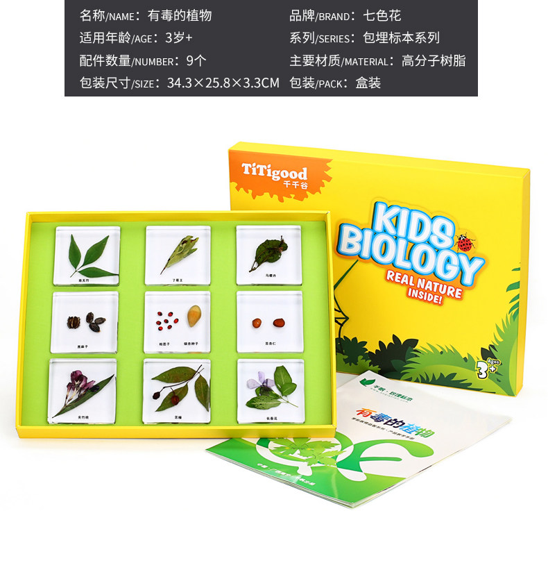 幼儿园认识植物标本科学实验室
