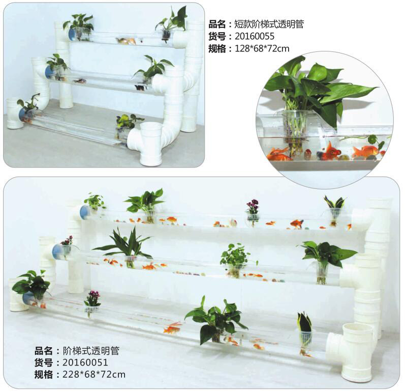 鱼花共生系统 水培绿植养花养鱼水管子透明水养植物组合立式器皿