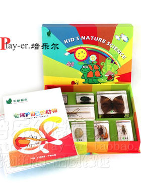 幼儿认识动物标本科学实验室