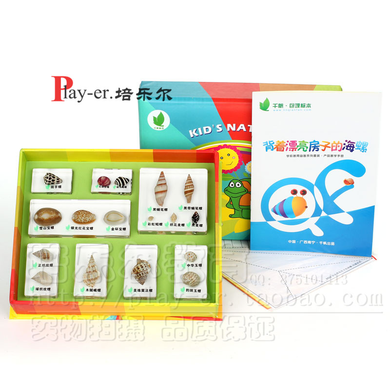 背着漂亮房子的海螺儿童幼儿园科学实验室观察17种海螺包埋标本