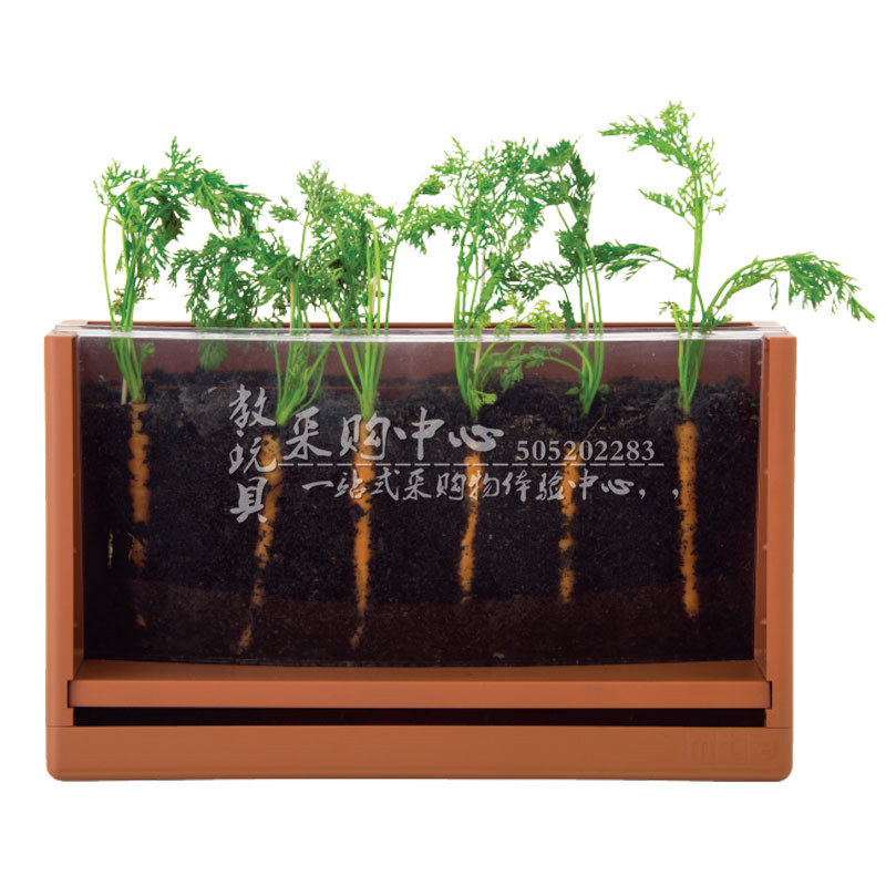 植物幼儿玩具科学实验室