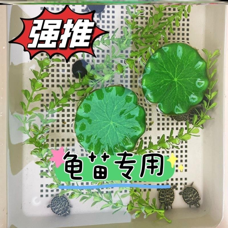 水族箱水池池塘绿植荷花叶乌龟躲避装饰品庭院鱼缸龟缸仿真荷叶