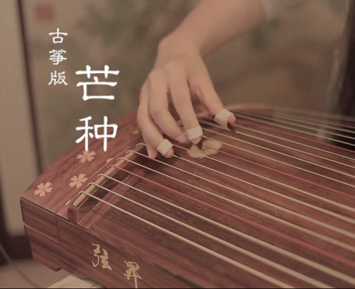【芒种】纯筝版配乐玉面嫣然古筝