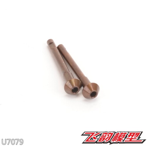 舒马赫 SCHUMACHER 2WD LD2 4WD CAT L1R 后外侧销 U7079 U7368