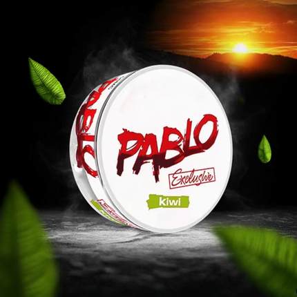 Pablo snus velo口含袋薄荷水果味口唇袋高铁平替ZYN snus口含袋