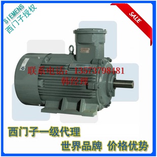 皖南电机厂 YB3超高效 皖南电机YB2电机 YB2VP变频防爆